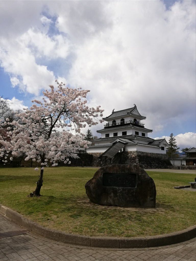 白石城お花見